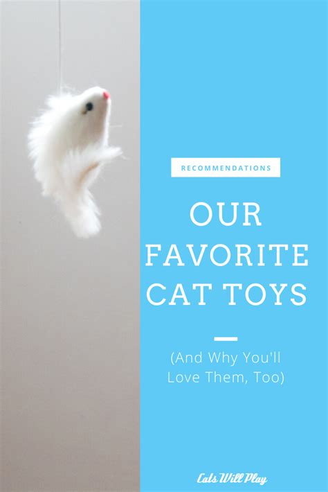Indoor Activities for Cats: The Magic of Playthings